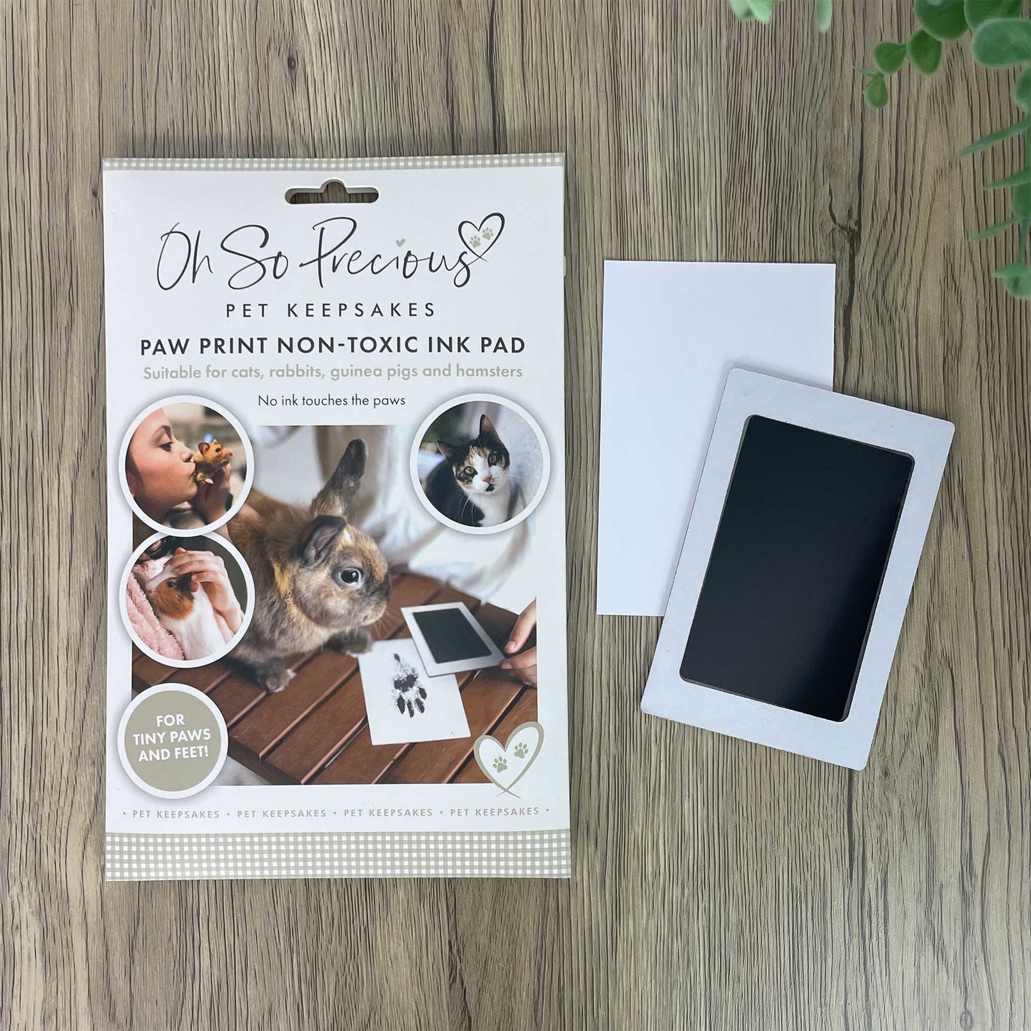 Paw Print Non-toxic Paw Print Ink Pad Kit For Small Mammals