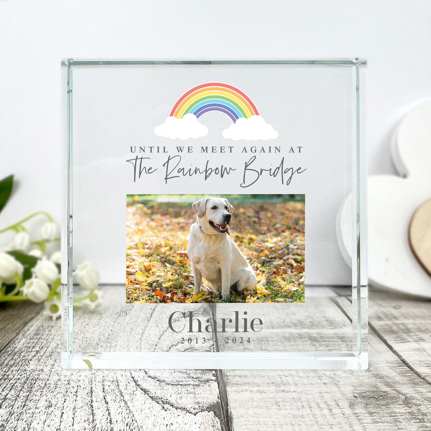 Personalised Pet Memorial Until We Meet Again Photo Crystal Token