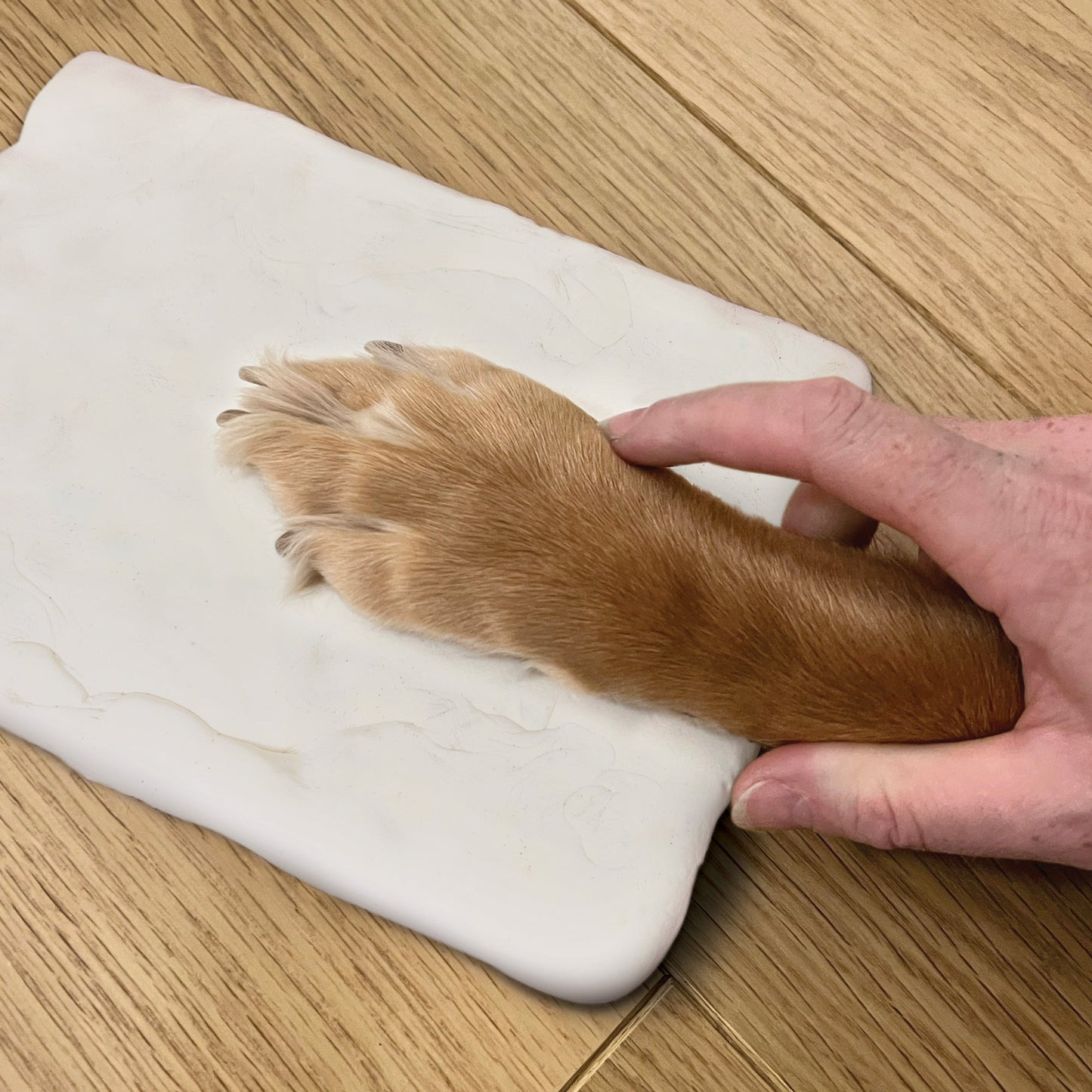 Personalised Paw Print Clay Mould & Photo Frame Kit