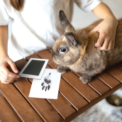 Paw Print Non-toxic Paw Print Ink Pad Kit For Small Mammals