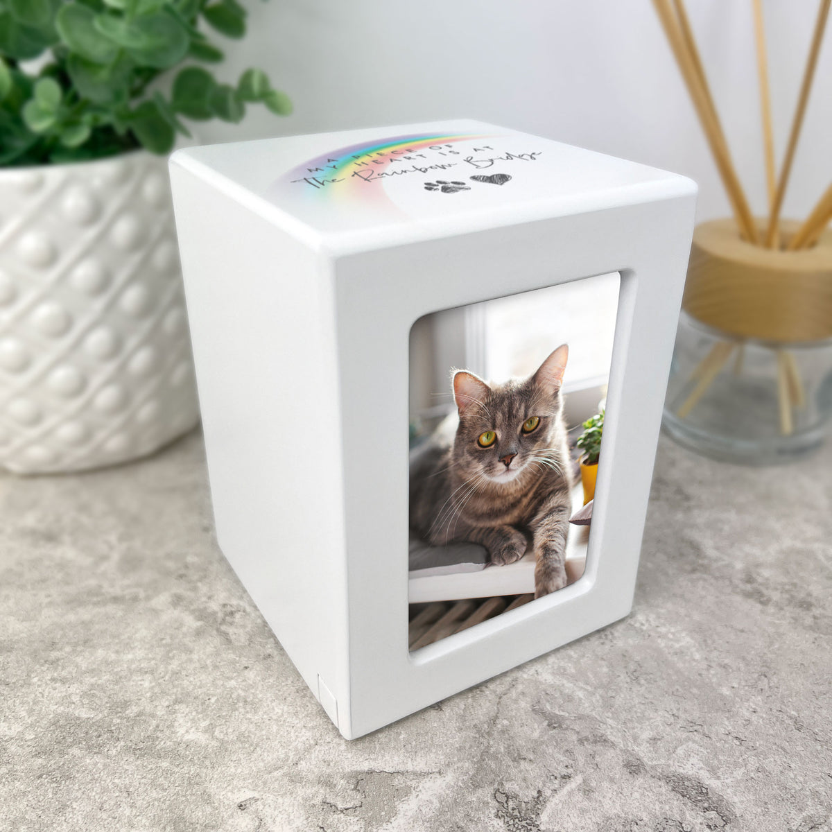 Rainbow Bridge Photo Urn 0.51L - Carton of 2