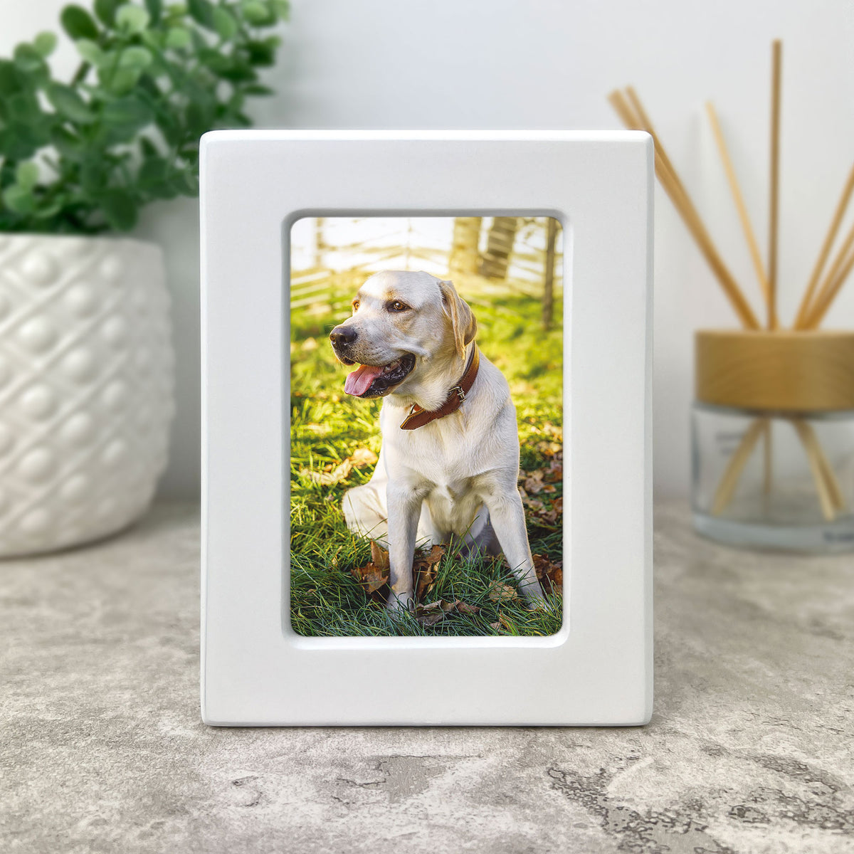 Rainbow Bridge Photo Urn 0.51L - Carton of 2