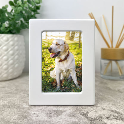 Rainbow Bridge Photo Urn 0.51L - Carton of 2