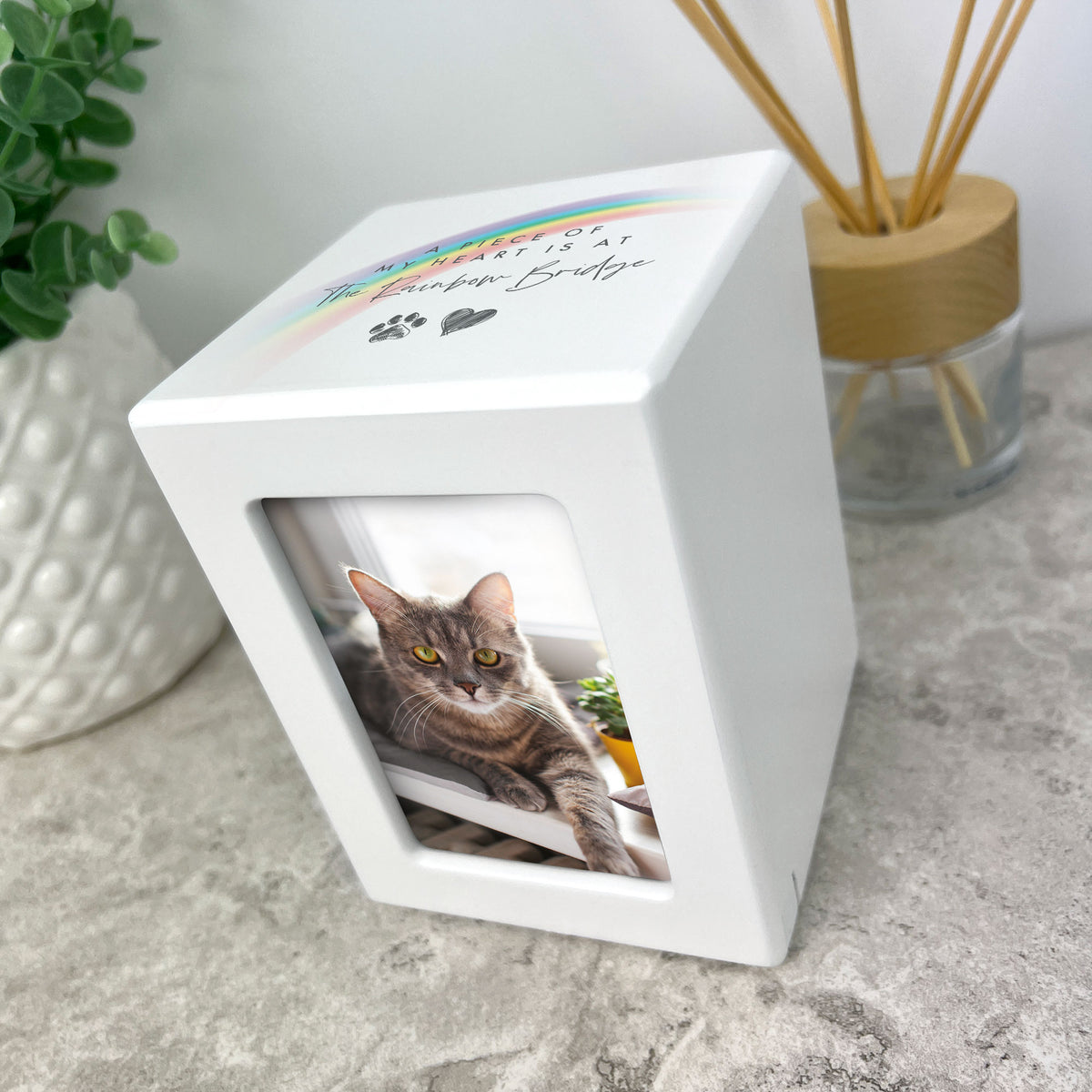 Rainbow Bridge Photo Urn 0.51L - Carton of 2