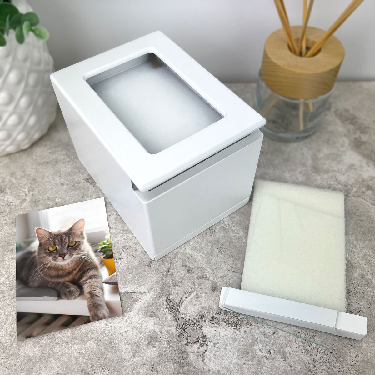 Rainbow Bridge Photo Urn 0.51L - Carton of 2