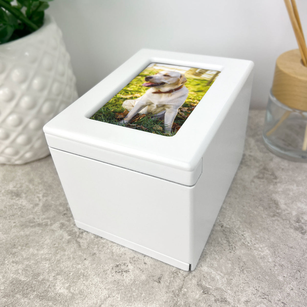 Rainbow Bridge Photo Urn 0.51L - Carton of 2