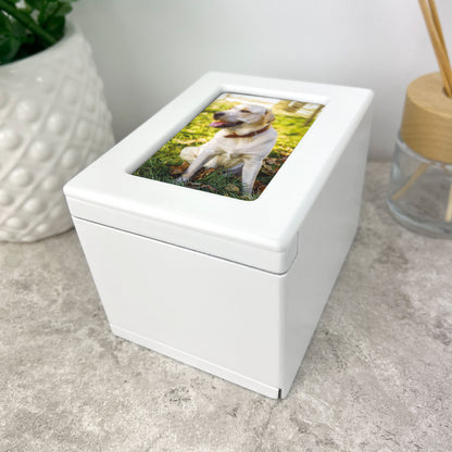 Rainbow Bridge Photo Urn 0.51L - Carton of 2
