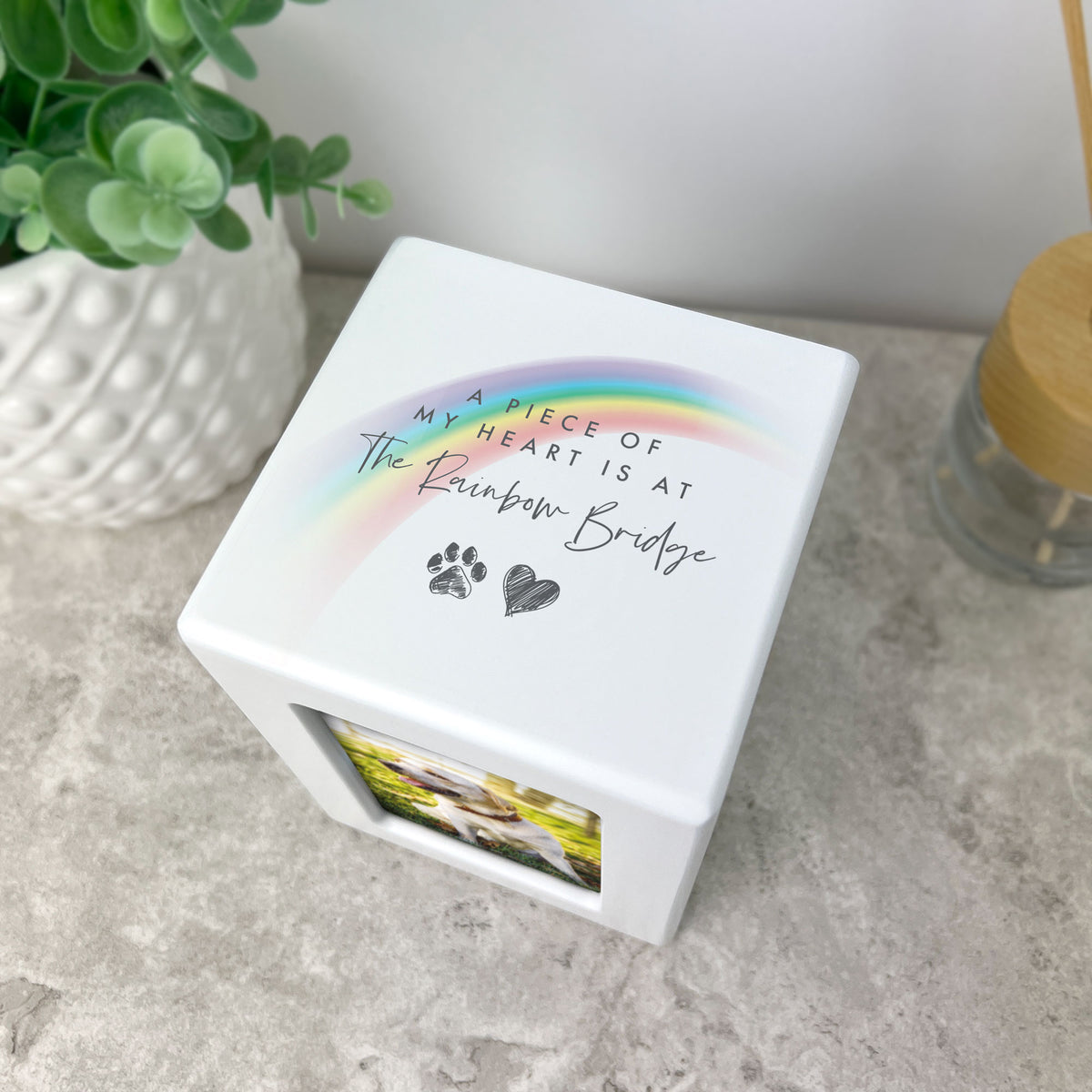 Rainbow Bridge Photo Urn 0.51L - Carton of 2