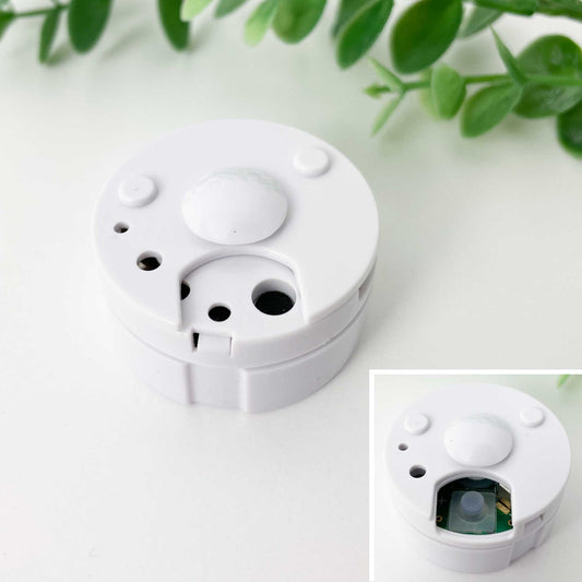 Voice Recorder